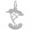 MONTEREY CYPRESS TREE - Rembrandt Charms