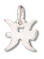 PISCES SYMBOL (Feb 19 - Mar 20) Sterling Silver Charm