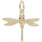 DRAGONFLY - Rembrandt Charms