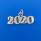Horizontal 2020 Sterling Silver Charm