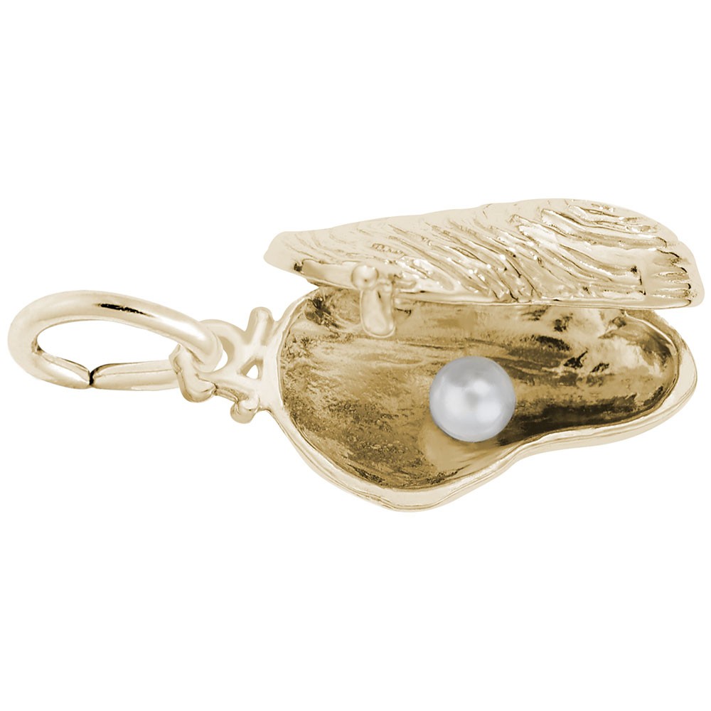 Rembrandt Charms Surfboard Charm