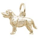 Dog Charms in Silver and Gold