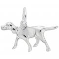 GERMAN SHORT HAIRED POINTER DOG - Rembrandt Charms