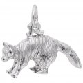 RACCOON - Rembrandt Charms