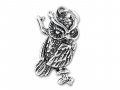 OWL Sterling Silver Charm