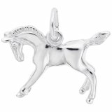 HORSE - Rembrandt Charms