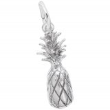PINEAPPLE - Rembrandt Charms