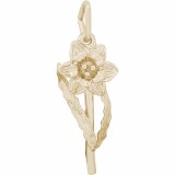 DAFFODIL FLOWER - Rembrandt Charms