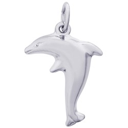 DOLPHIN - Rembrandt Charms