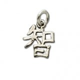WISDOM Chinese Symbol Sterling Silver Charm