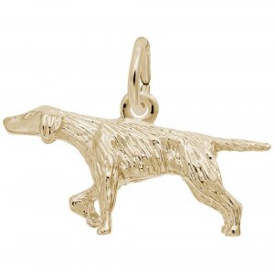 POINTER DOG - Rembrandt Charms