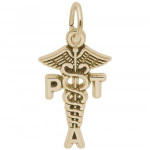PHYSICAL THERAPIST ASSISTANT CADUCEUS - Rembrandt Charms