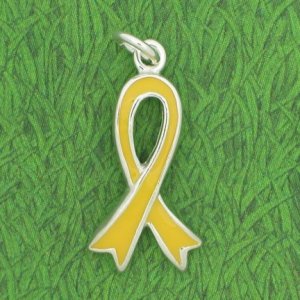 SUPPORT OUR TROOPS AWARENESS RIBBON Enameled Sterling Silver Charm