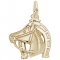 HORSE HEAD with HORSESHOE- Rembrandt Charms