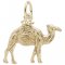 CAMEL - Rembrandt Charms