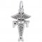 PHYSICAL THERAPIST ASSISTANT CADUCEUS - Rembrandt Charms