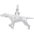Pointer Sterling Silver Charm