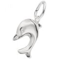 DIVING DOLPHIN - Rembrandt Charms