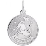 CAPRICORN CONSTELLATION DISC - Rembrandt Charms